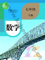 人教版七年级数学下册