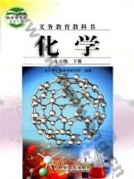 仁爱版科普版九年级化学下册