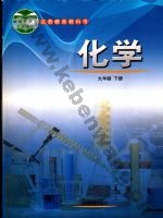 鲁教版九年级化学下册